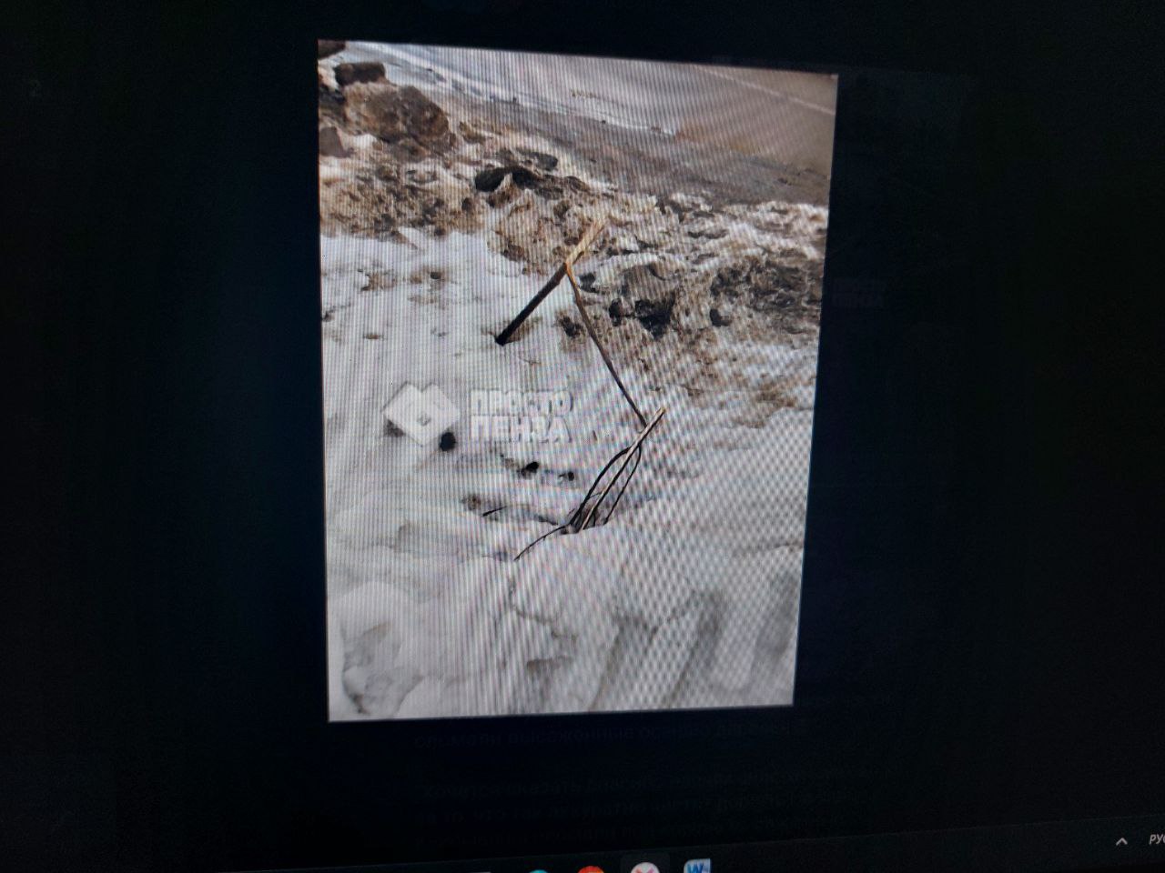 В Пензе коммунальщики сломали деревья, закидав их снегом