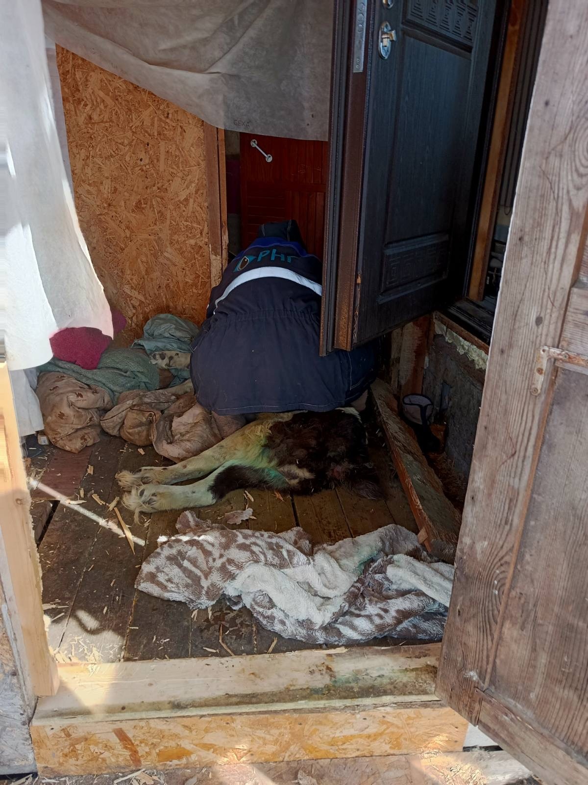 В Пензе спасатели помогли собаке, застрявшей под полом дома