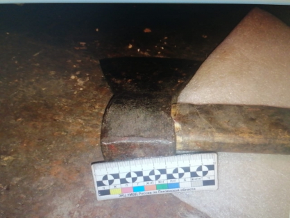 Житель Тамалинского района в праздник попытался отрубить голову товарищу