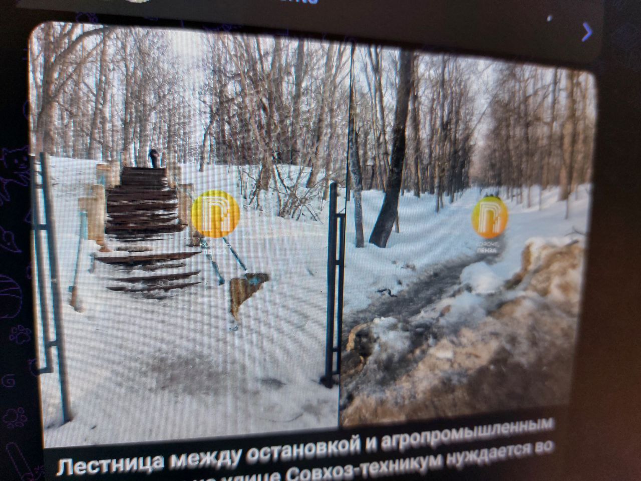 Пензенцы просят привести в порядок лестницу к агропромышленному колледжу