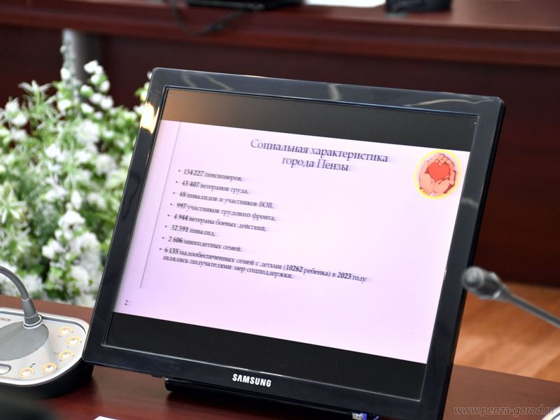 В 2023 году более 25% пензенцев воспользовались мерами социальной поддержки