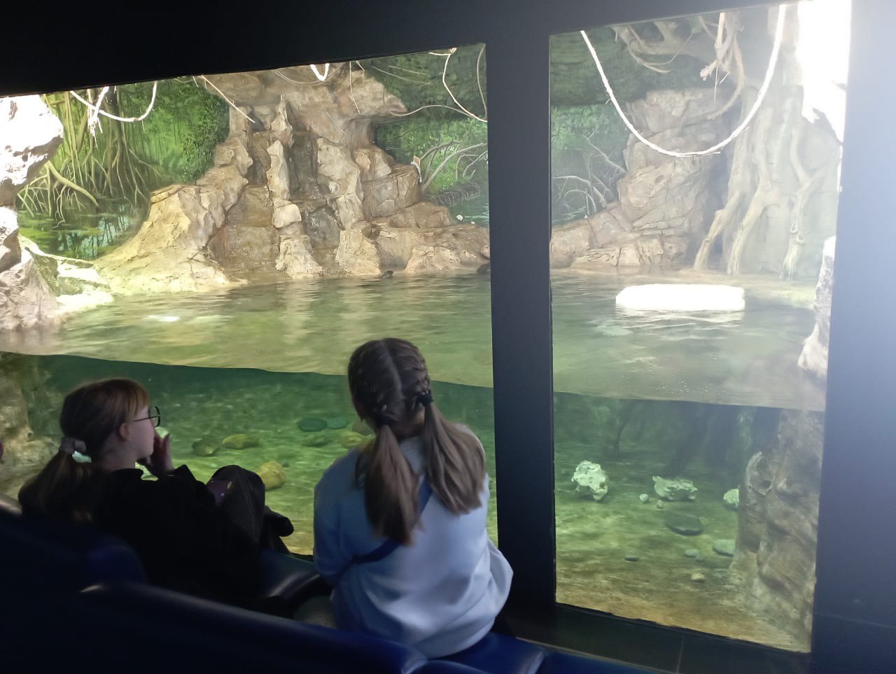 Ольга Чистякова организовала экскурсию в Океанариум для детей из Каменки