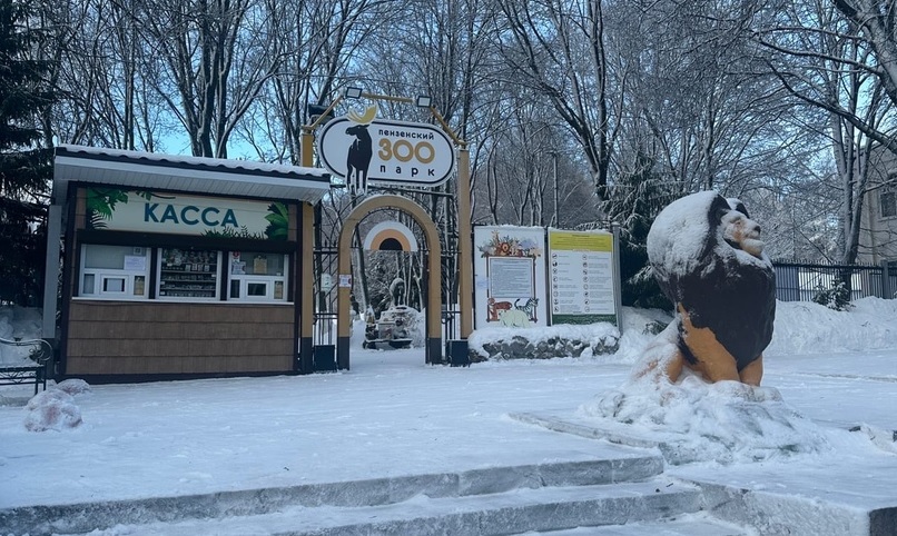 В Пензенском зоопарке ответили, разместят ли зверей из Аткарска