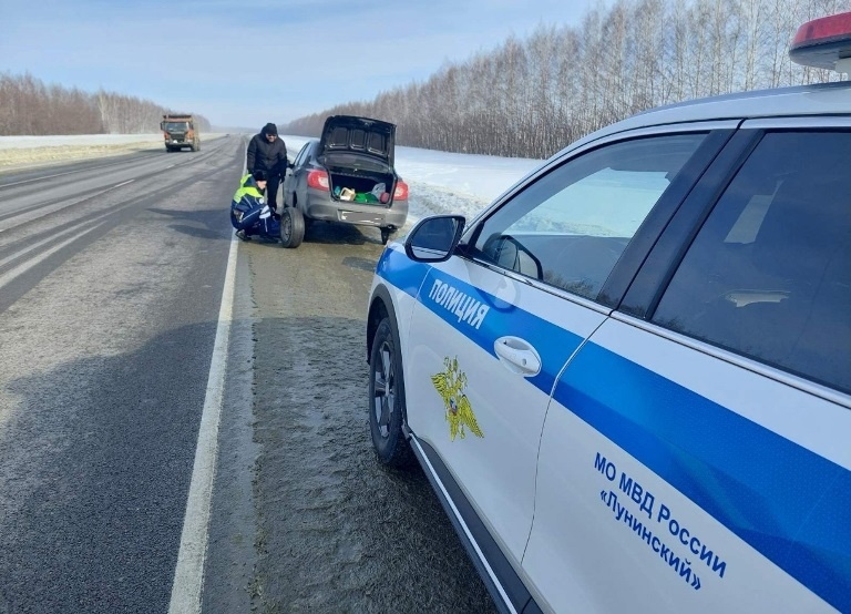 В Иссинском районе сотрудники ГИБДД спасли водителя иномарки