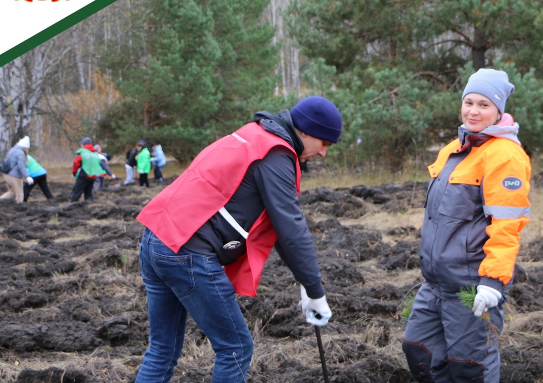 В Мокшане в рамках акции «Сад памяти» высадят больше 8 тысяч сеянцев сосны