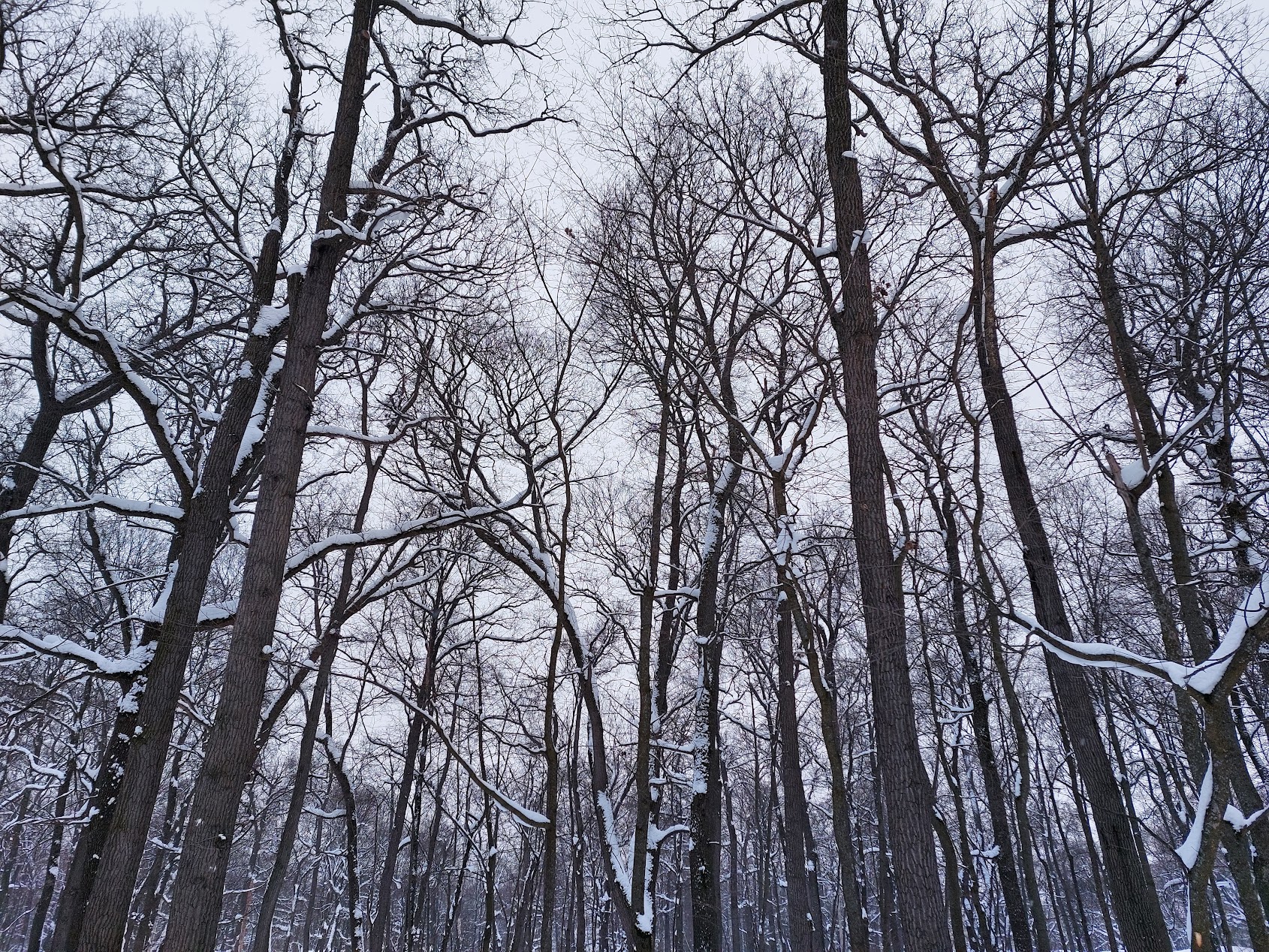 В Пензенской области женщине помогли выбраться из болот у санатория