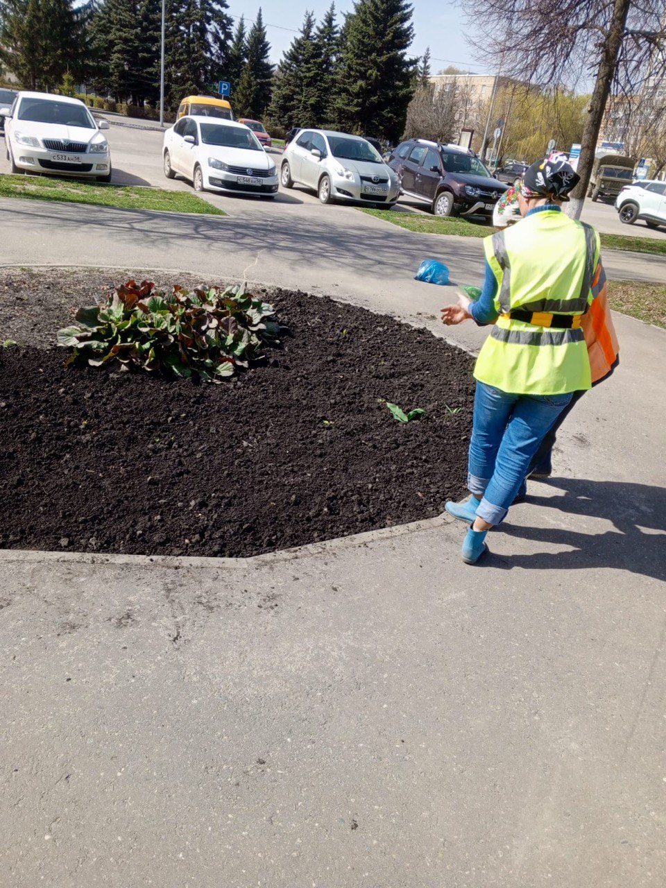 В Кузнецке на клумбах высадят семь тысяч цветов