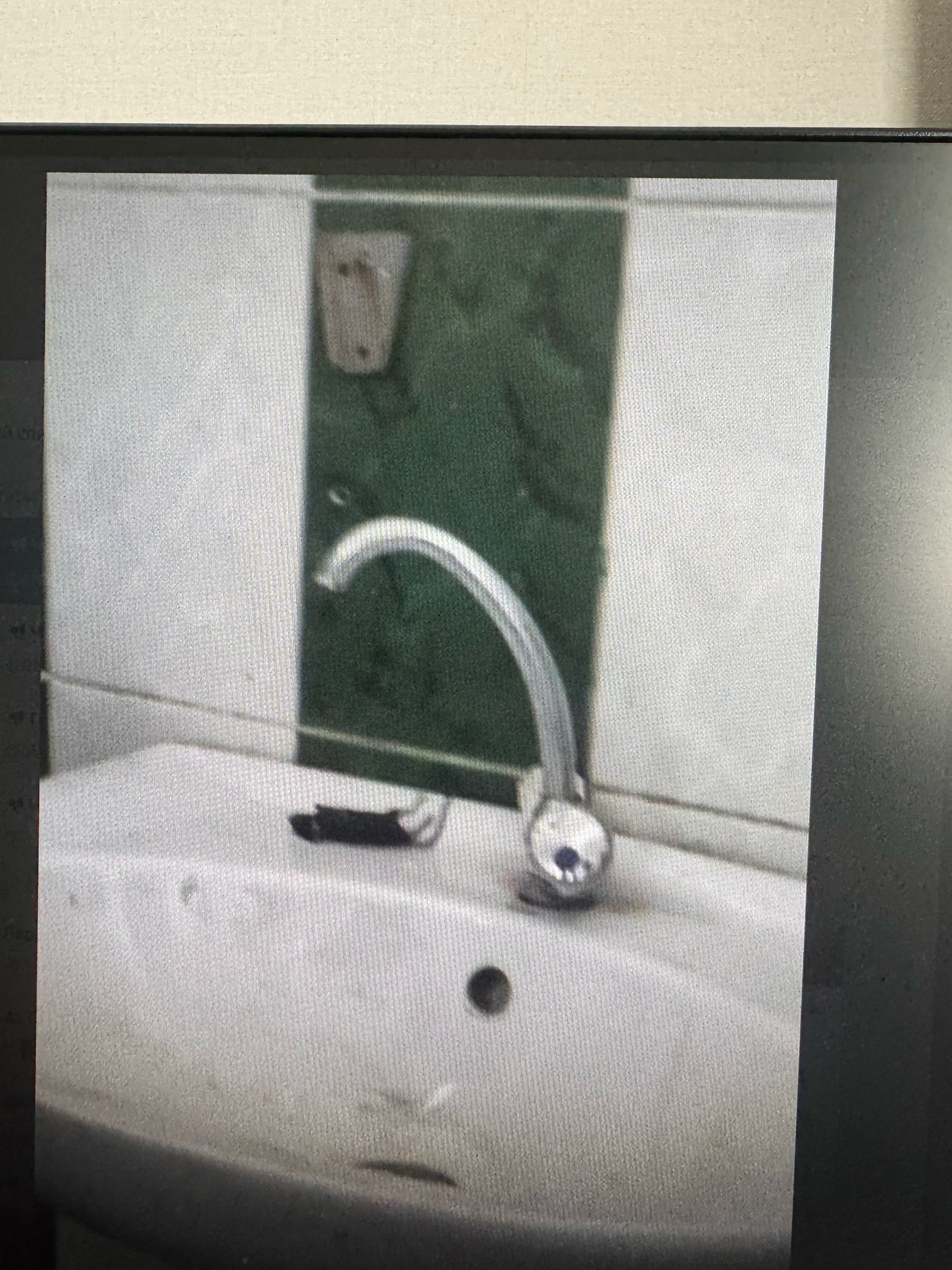 В пензенской школе ученики нашли мышь в туалете