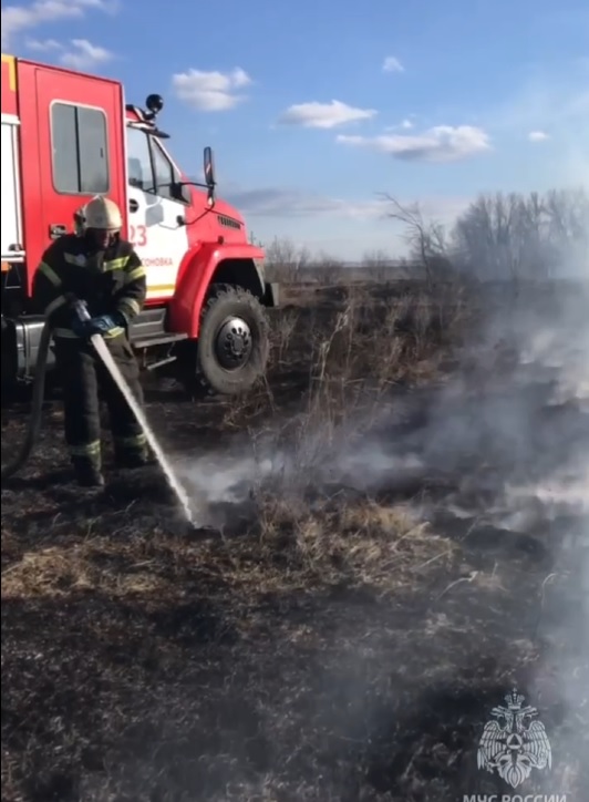 В Пензенской области весной произошло 36 случаев возгорания сухой травы