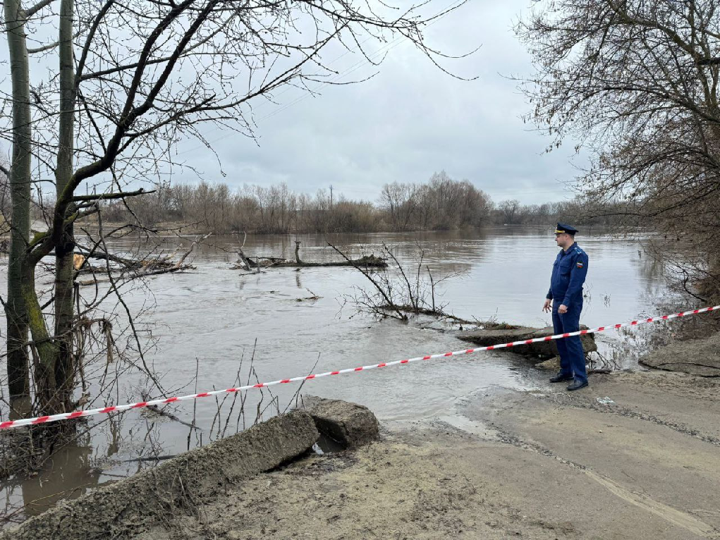 В Бессоновском районе талые воды затопили два моста