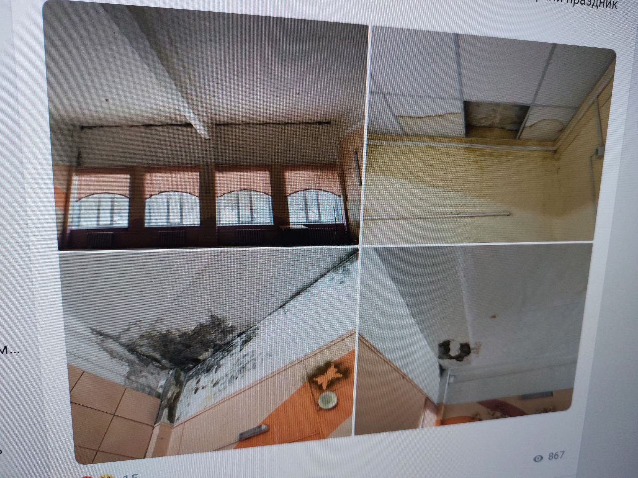 В Пензе потолок актового зала гимназии САН покрылся черной плесенью