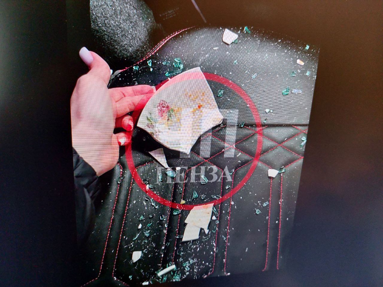 В Засечном кухонный ниндзя разбил стекло припаркованного авто тарелкой