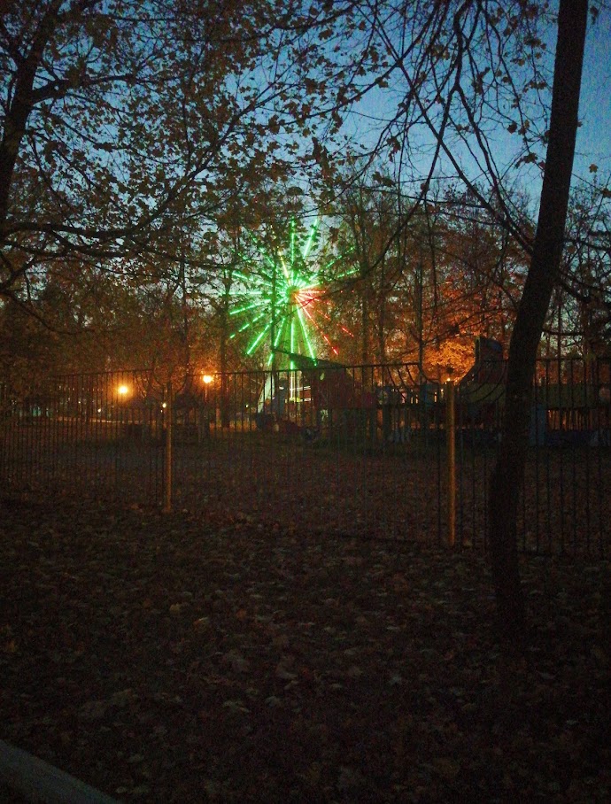 Многодетные пензенцы смогут ходить в парки со скидкой