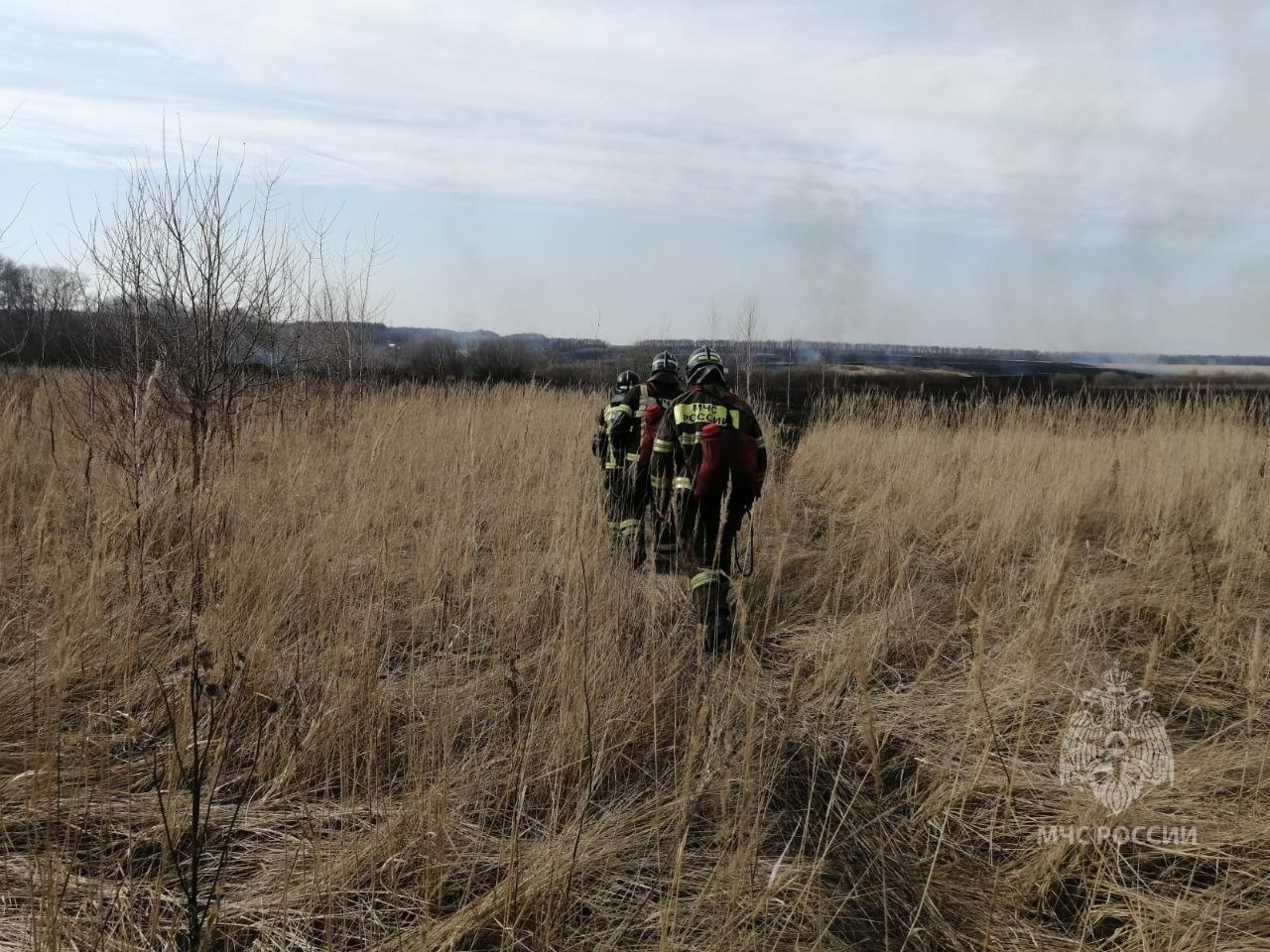 В Мичуринском рядом с прудом выгорело 600 м2 травы