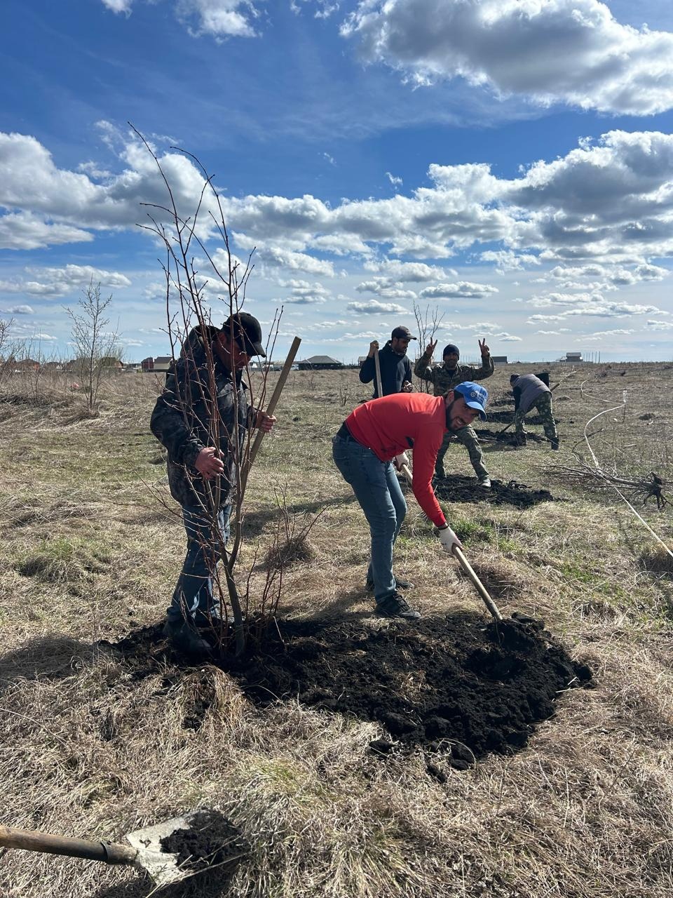 В Кузнецке в районе бывшего аэродрома посадили липовую аллею