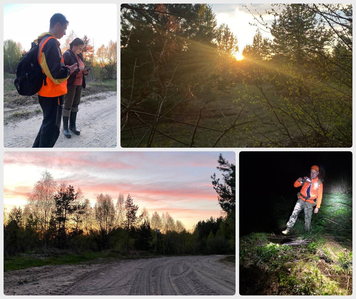 Пензенцев просят помочь в поисках 66-летнего жителя Богословки