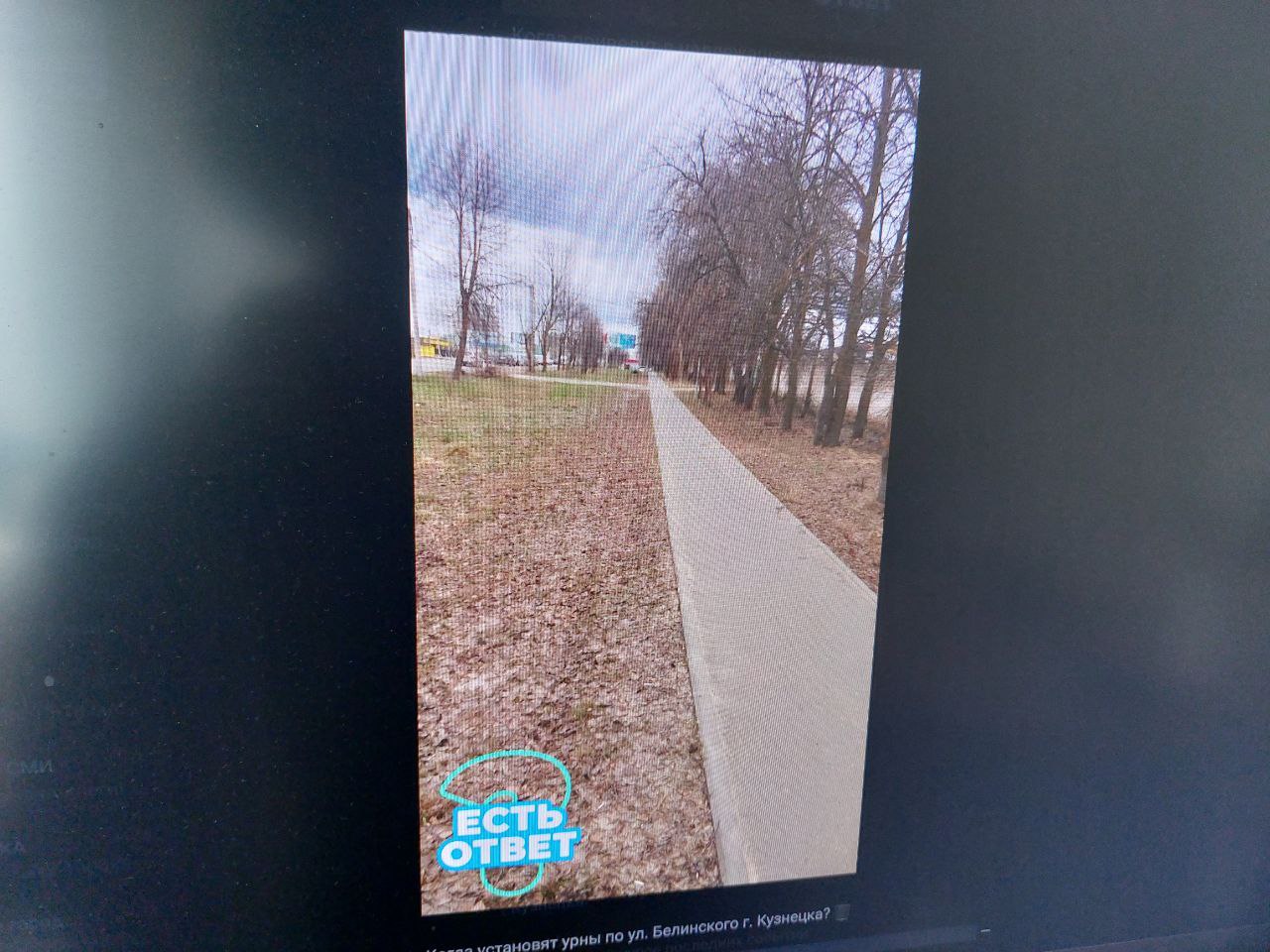 Кузнечанам ответили на вопрос об установке урн
