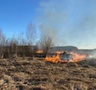 В Сердобском районе зафиксировали три случая возгорания сухой травы