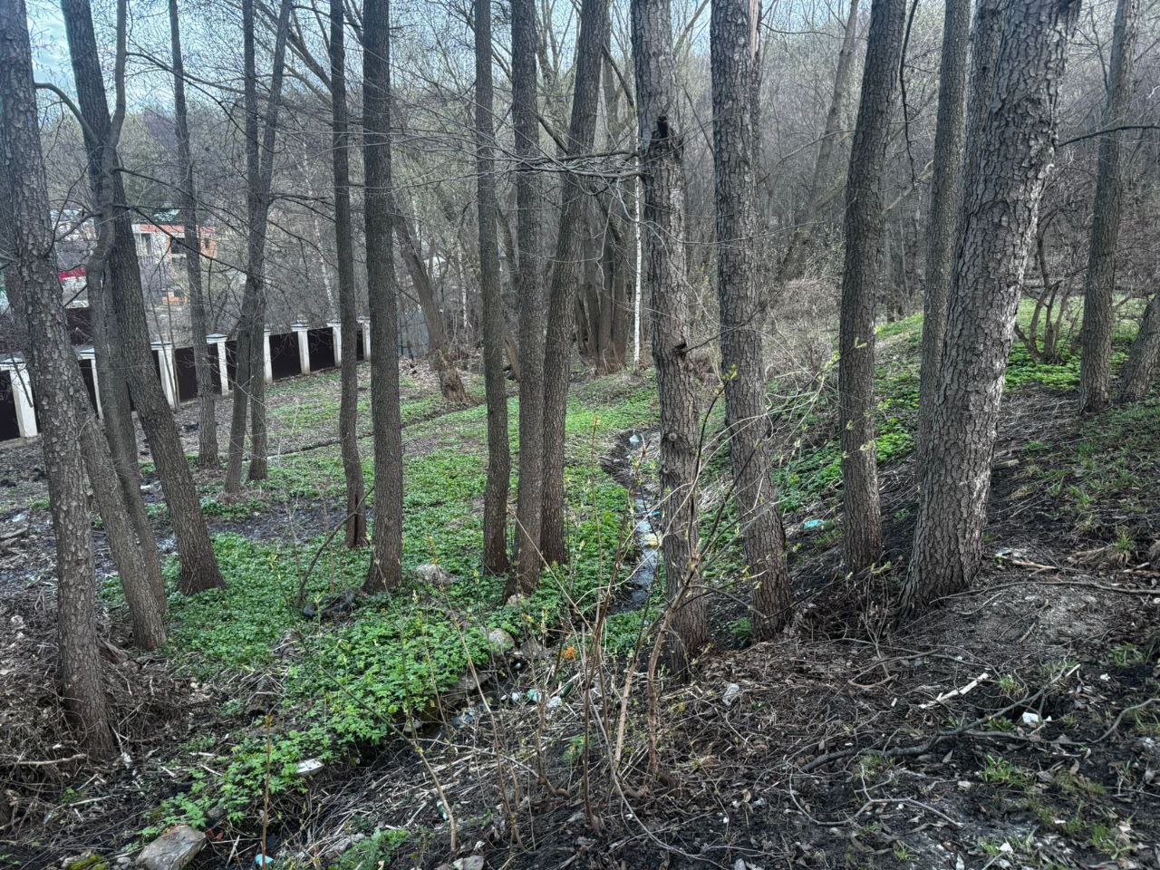 Появилось фото с места обнаружения тела пропавшей пензячки у "Самоварника"