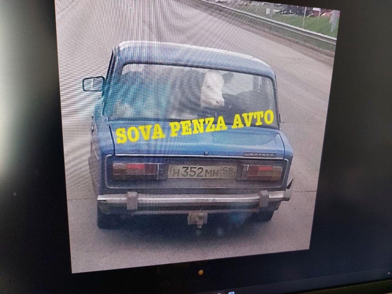 Пензенцы заметили необычного пассажира в отечественных «Жигулях»