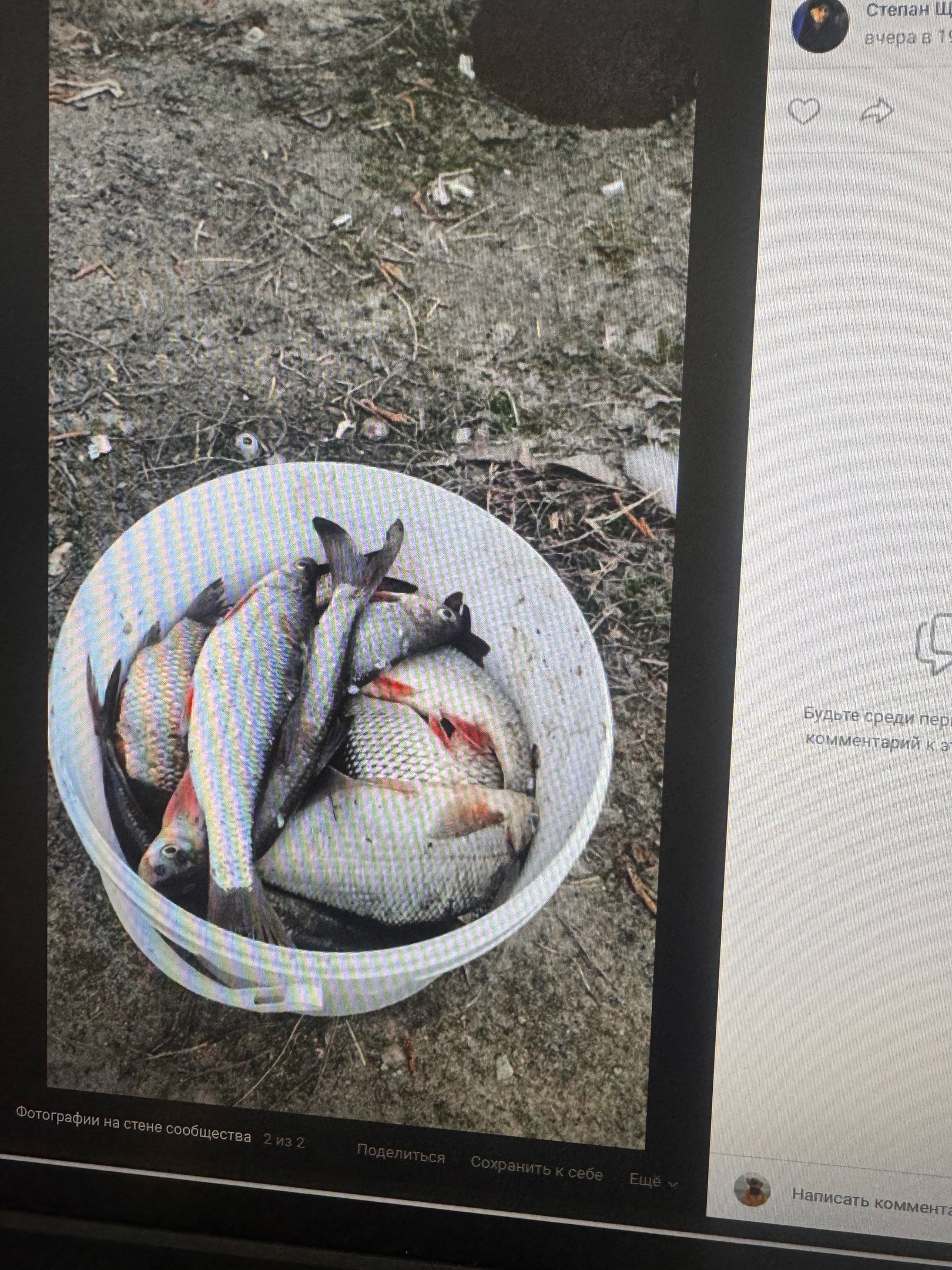 Пензенец выловил из Няньги запрещенную рыбу