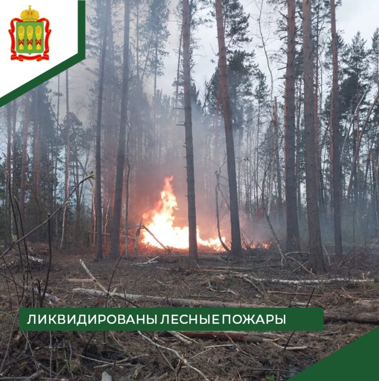 В выходные в Пензенской области потушили 4 лесных пожара