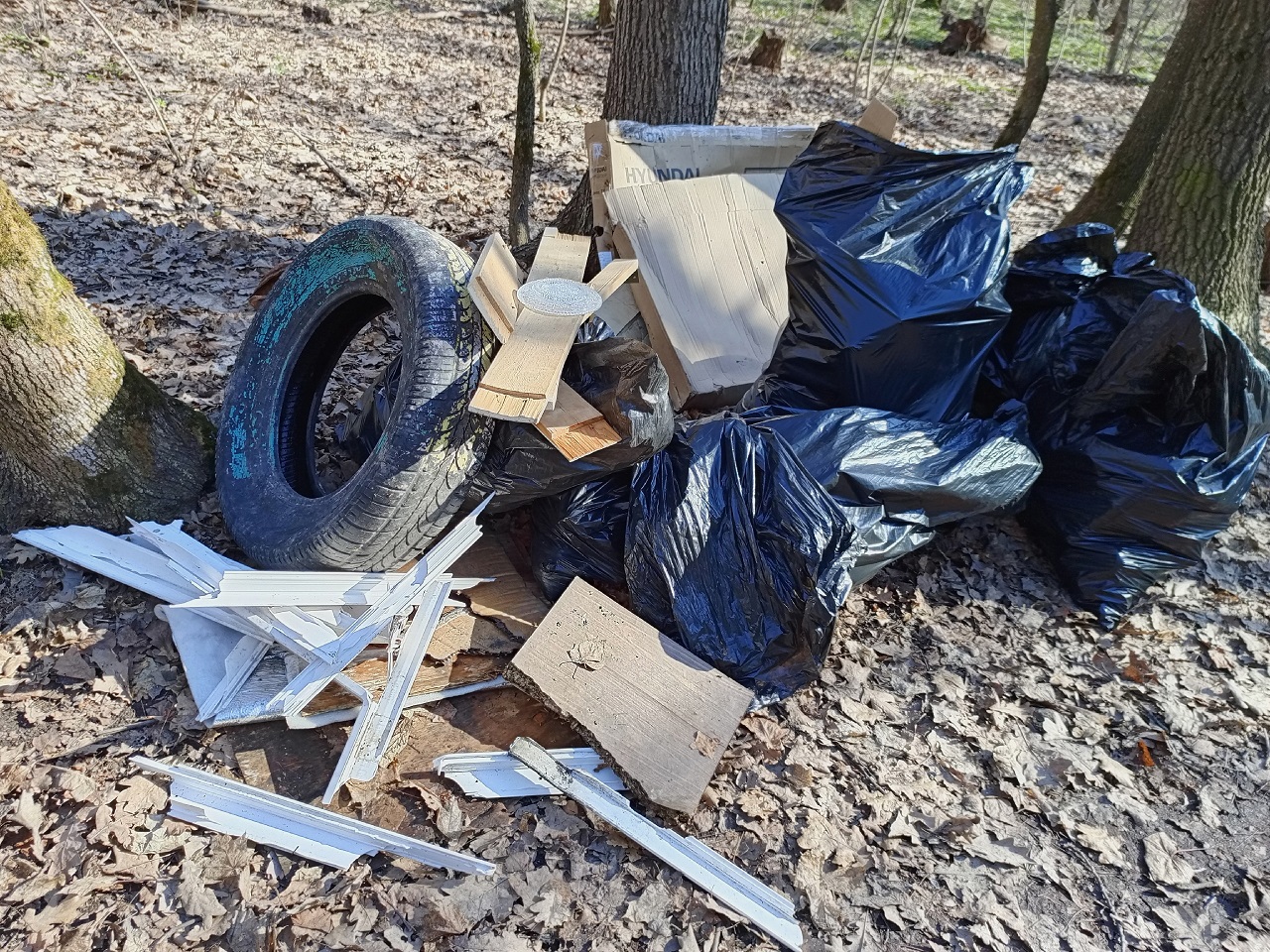 Топ неожиданных находок на Олимпийской аллее в Пензе