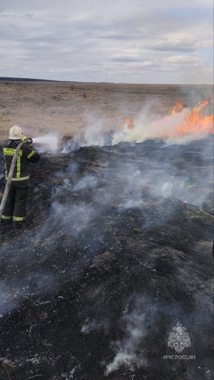 В Бессоновке гигантский пожар угрожал жилым домам