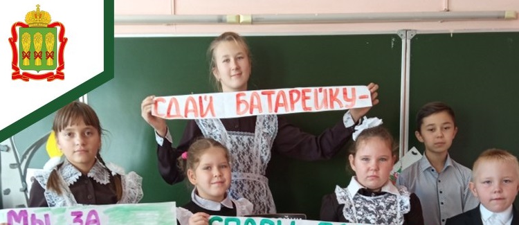 В 125 пензенских школах собирают батарейки на переработку