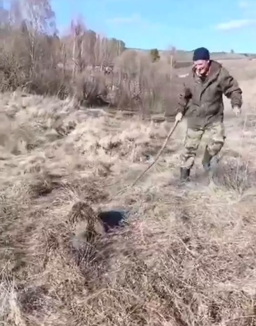 Пензенские лесничие помогли обессилившему бобру на плотине