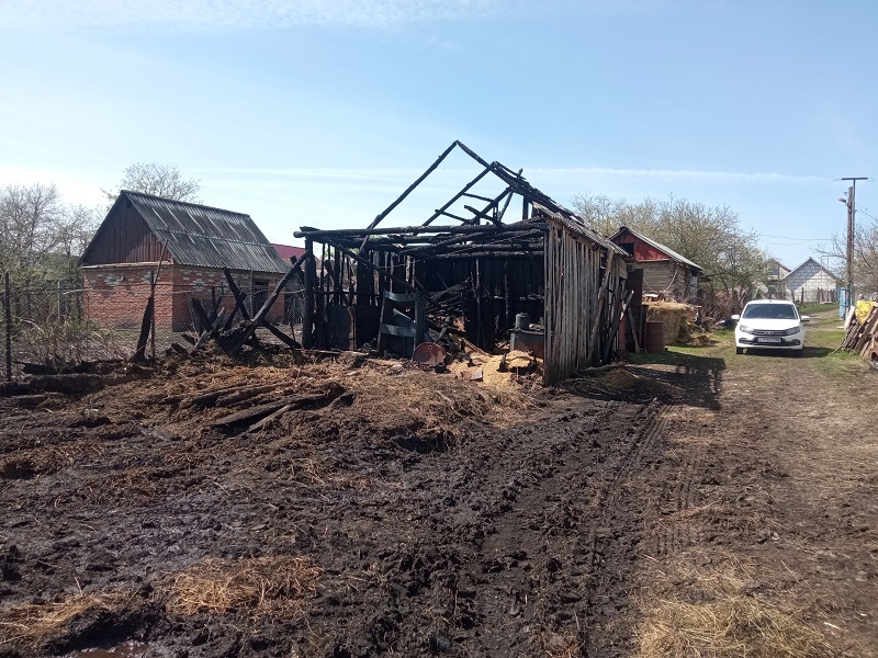 В Каменском районе ночной пожар уничтожил надомные постройки