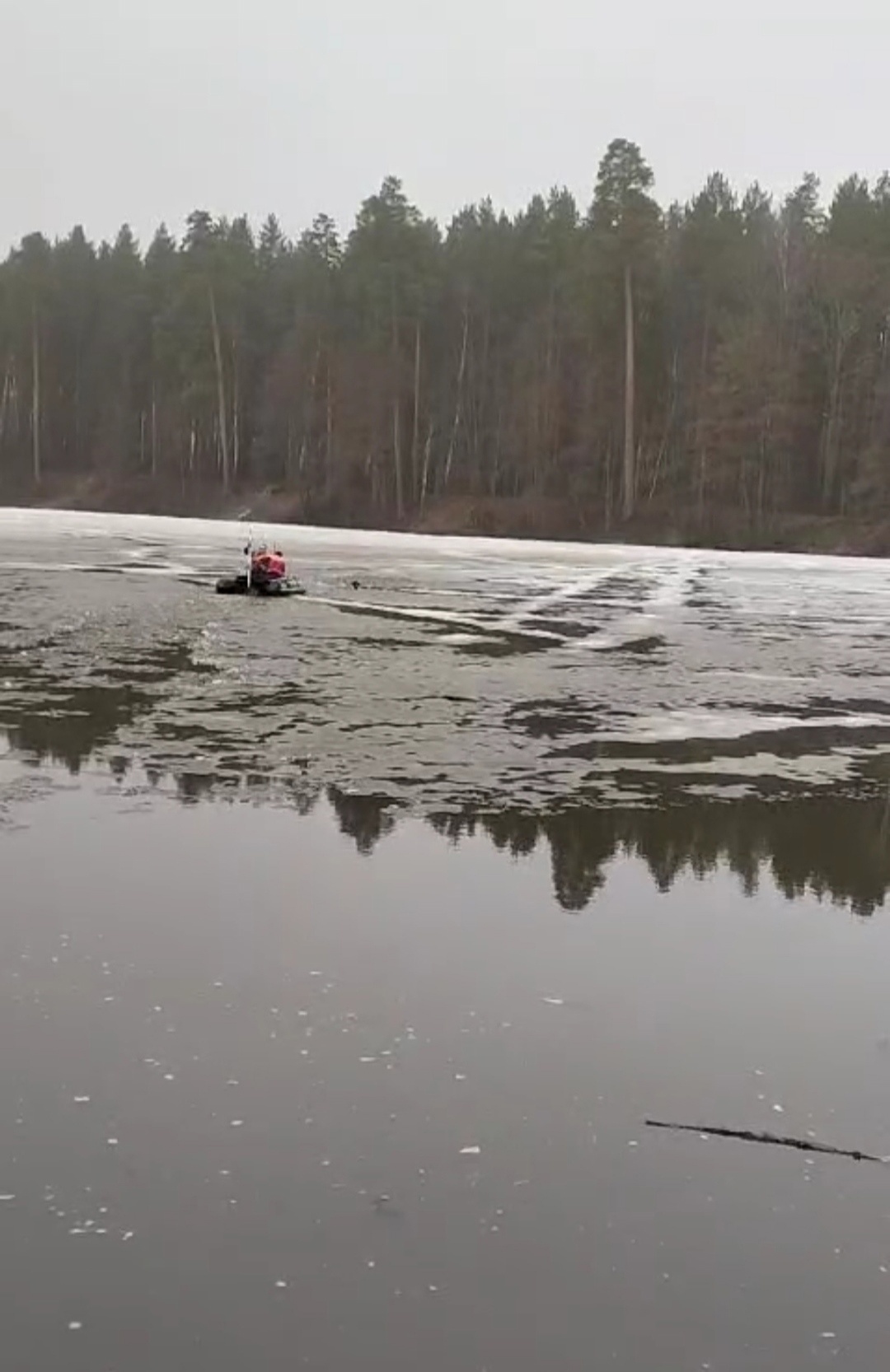 В Пензенской области спасатели вытащили собаку, провалившуюся под лед
