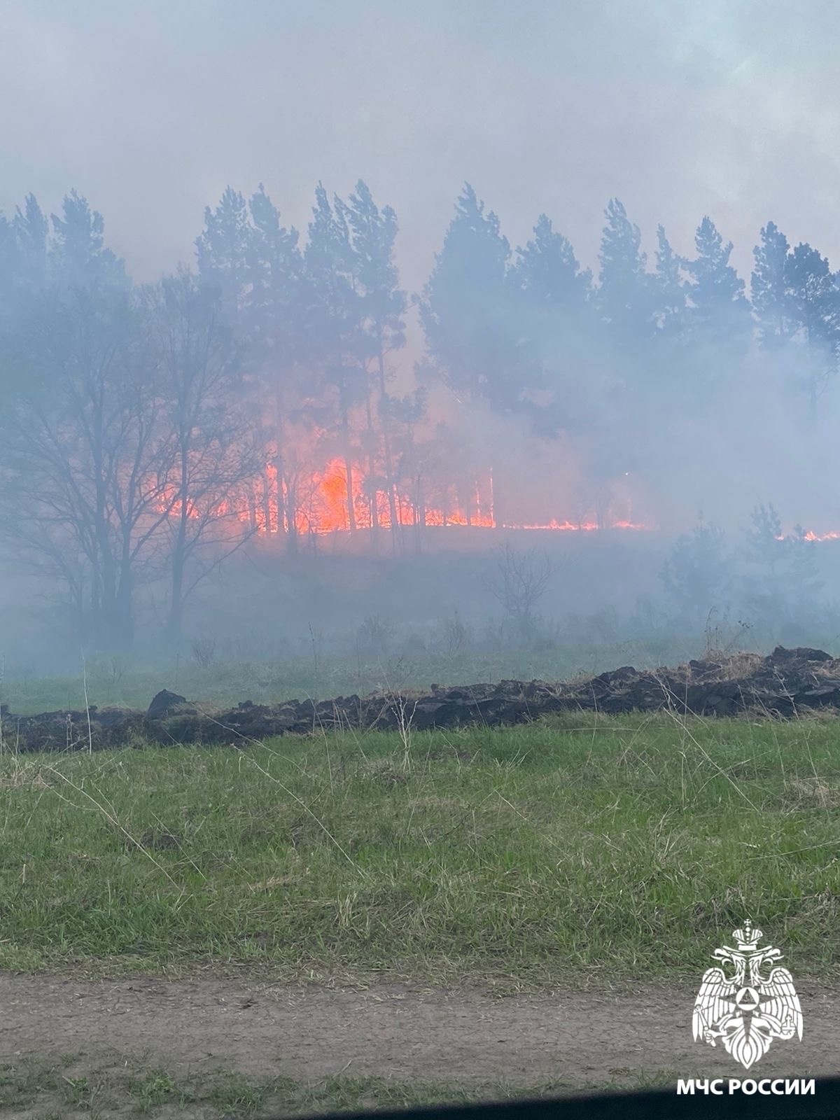 В Кузнецком районе пожар уничтожил почти гектар леса
