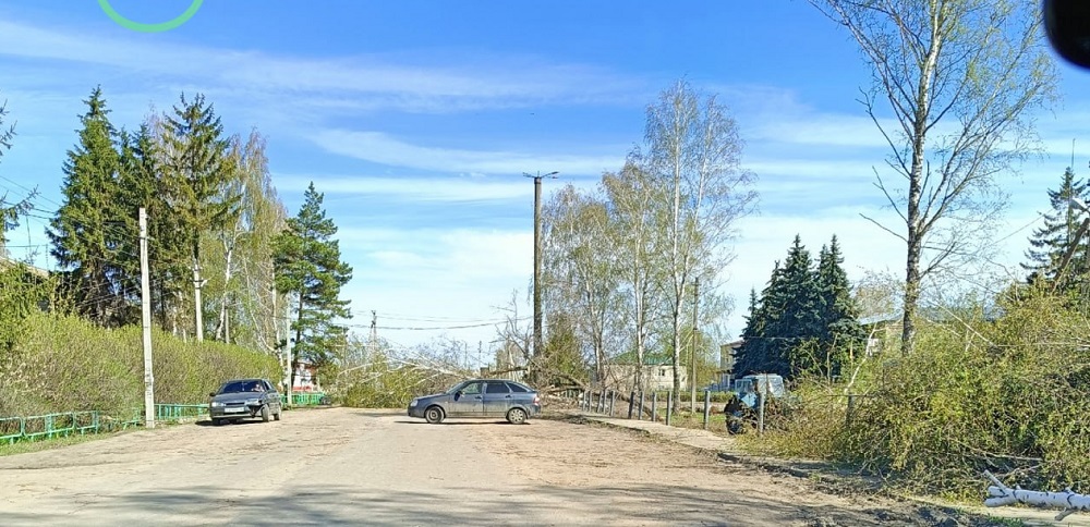 Жители Пензенской области обеспокоены вырубкой деревьев