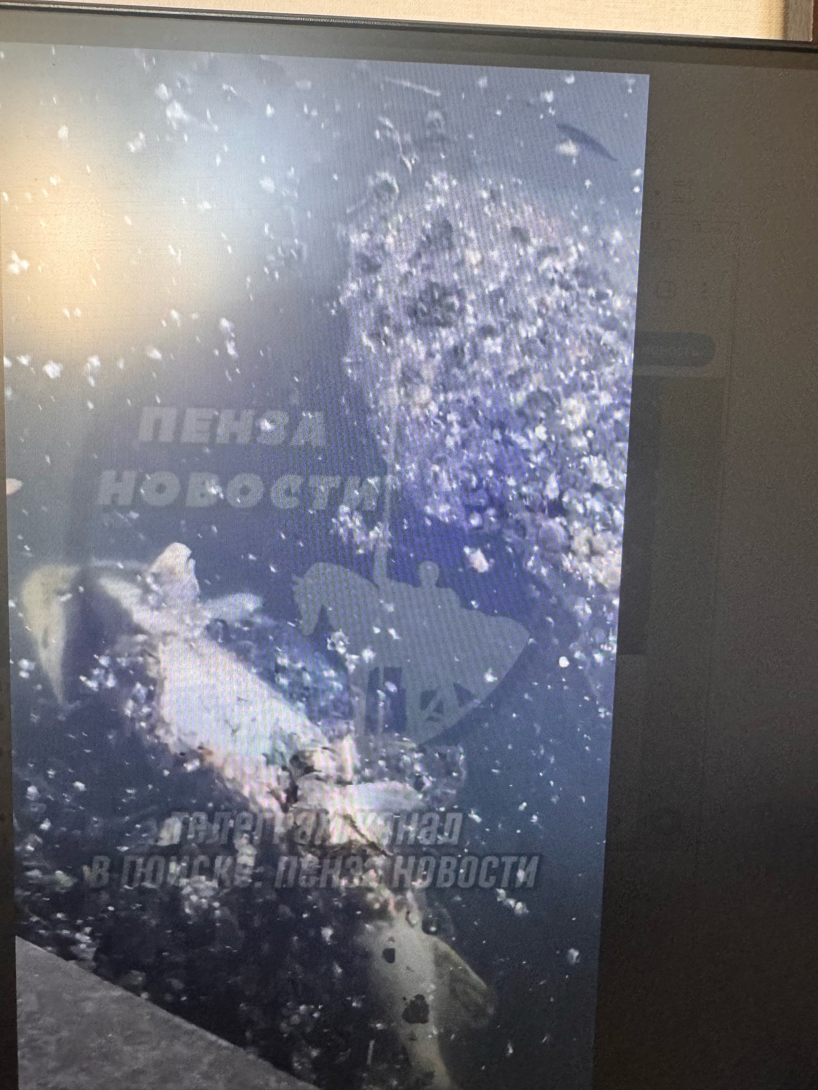 Пензенцы заметили мертвую рыбу в Суре