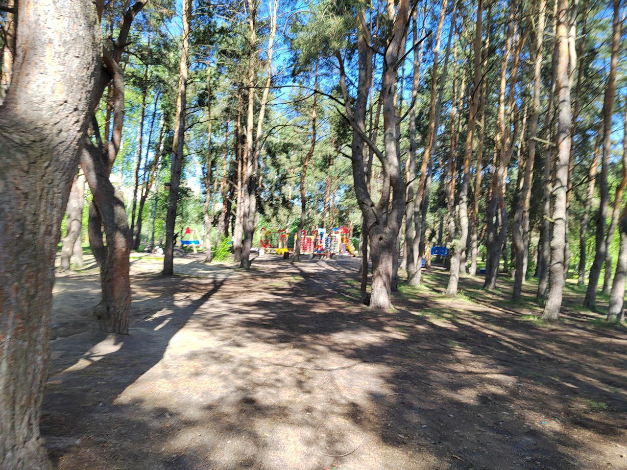 Пензенцы устроят сход жителей ради сквера «Семейный»