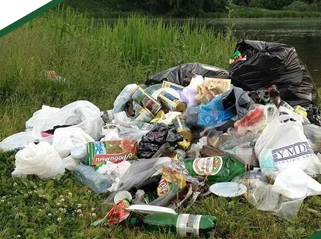 Житель Городищенского района вынес мусор за 2000 рублей