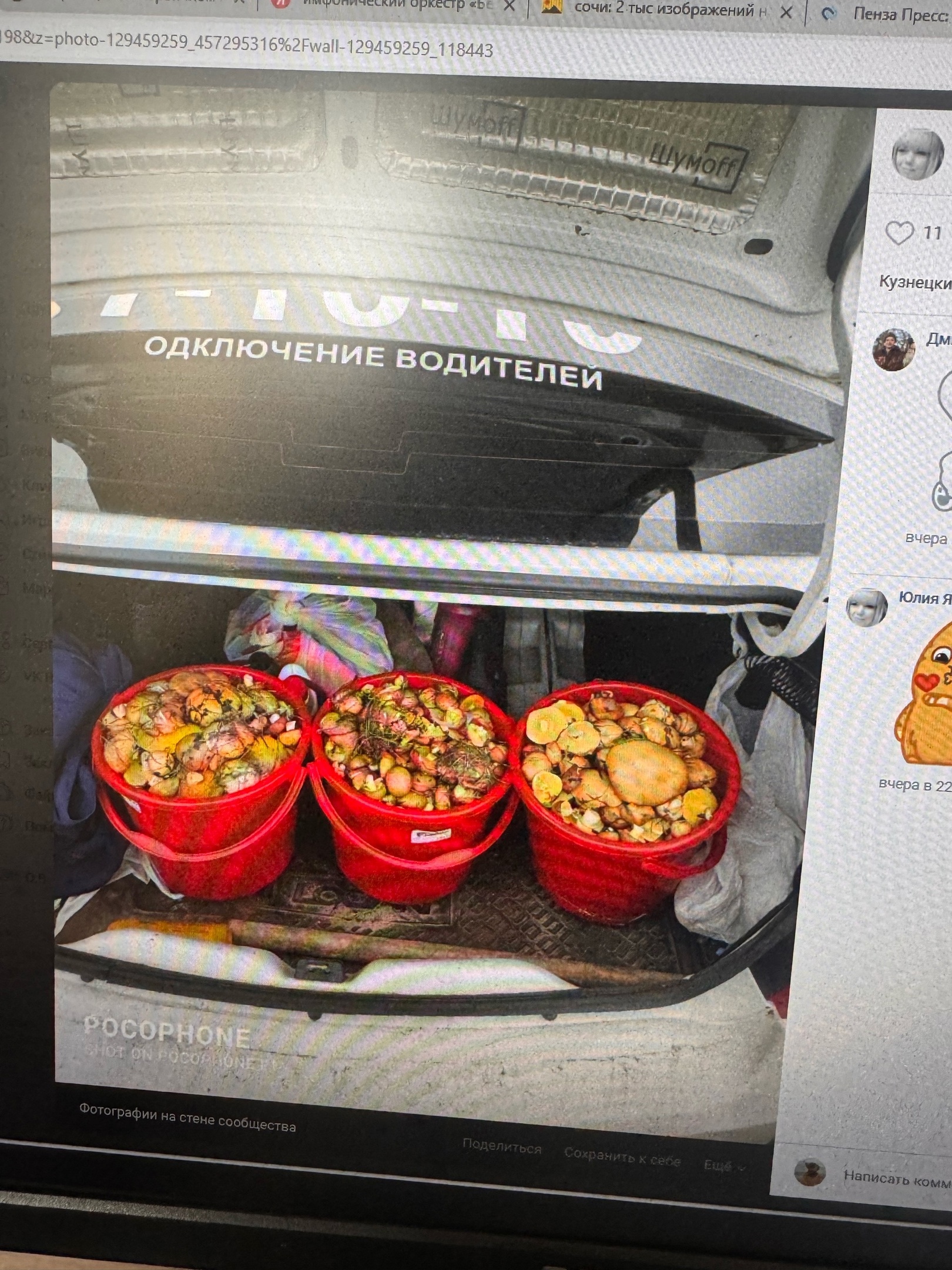 Кузнецких грибников не остановили ни снег, ни метель