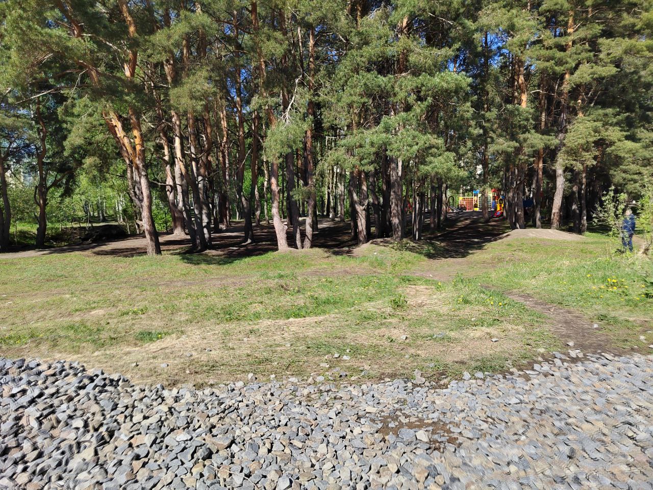 В Сердобске благоустроят сквер имени Островского