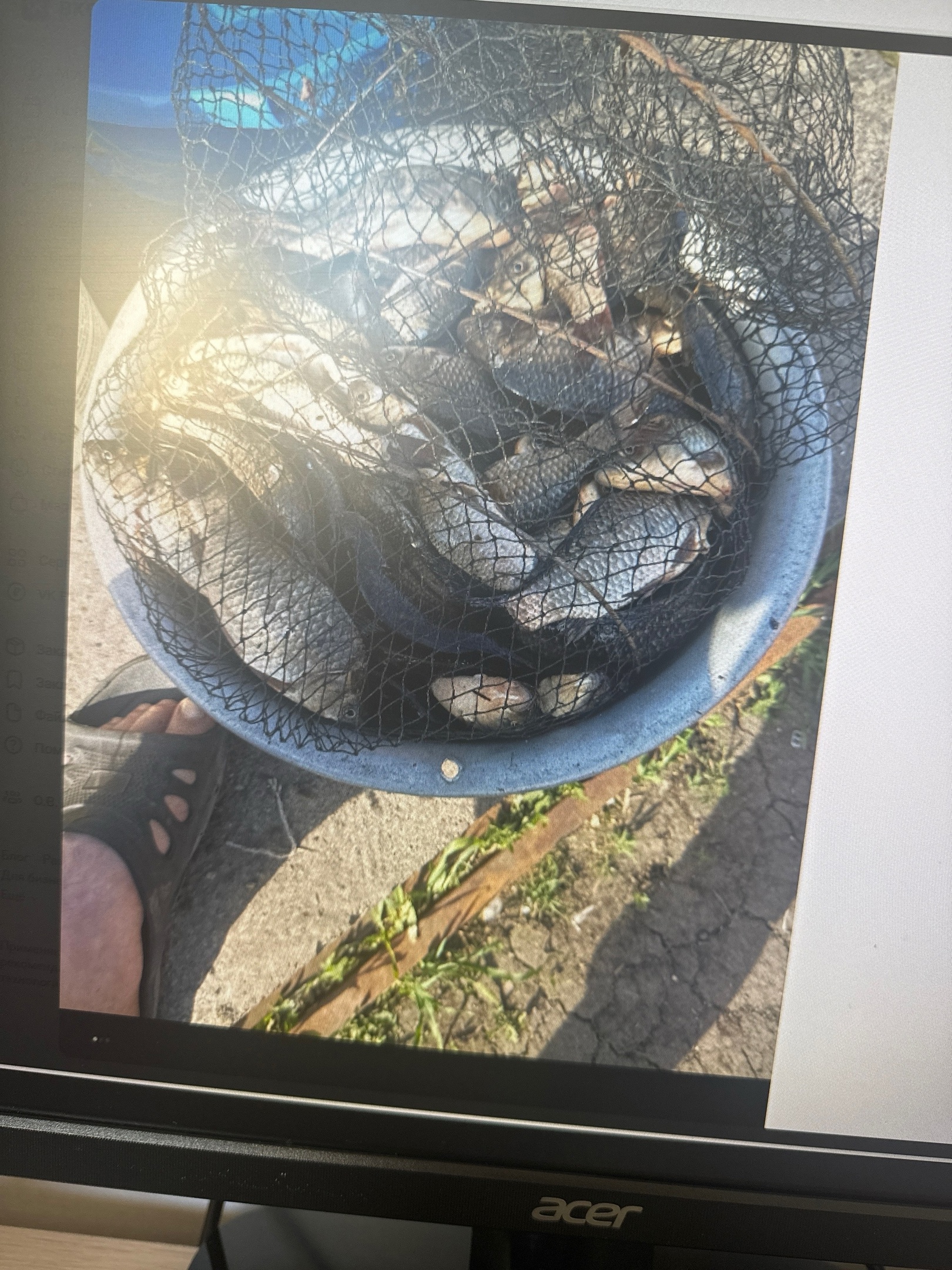 Пензенцы поделились «рыбными» местами в регионе