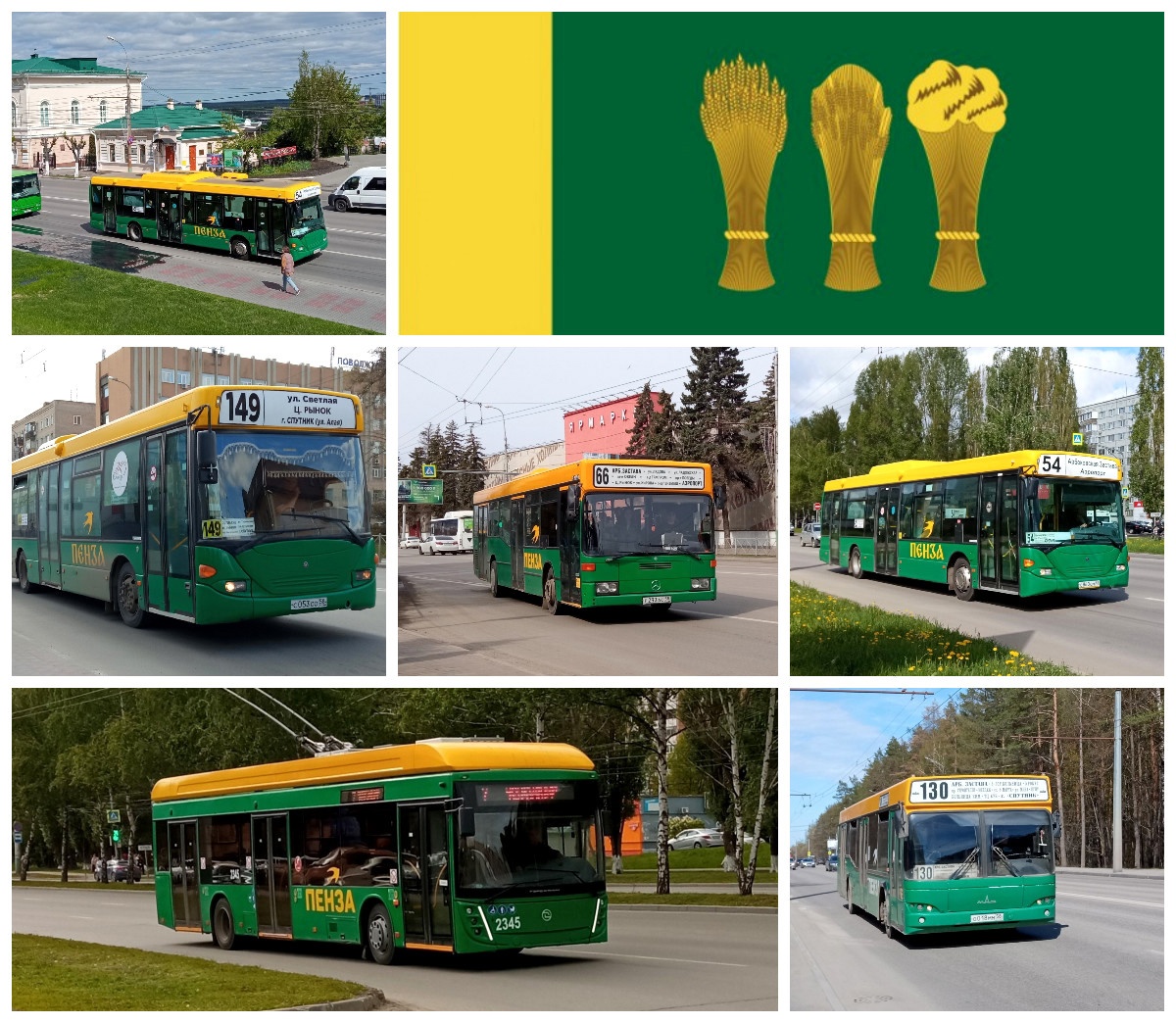 Пензенцам объяснили, почему автобусы покрасили в зеленый цвет