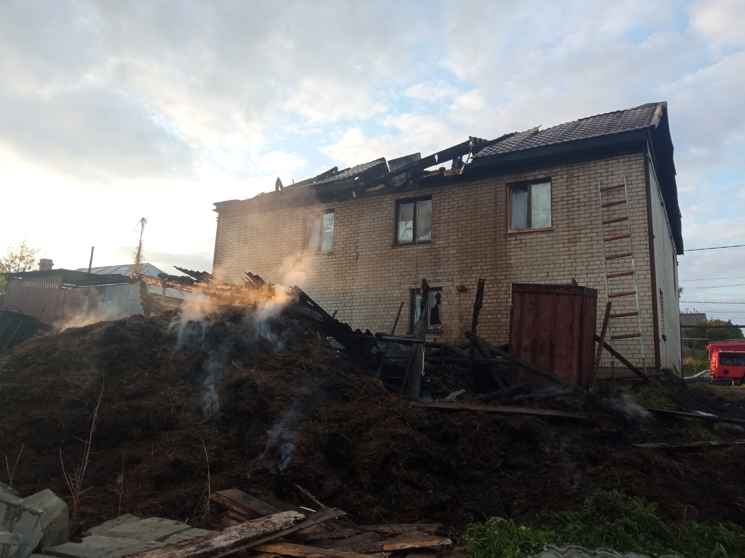 В Каменке в результате пожара погибли пять коров