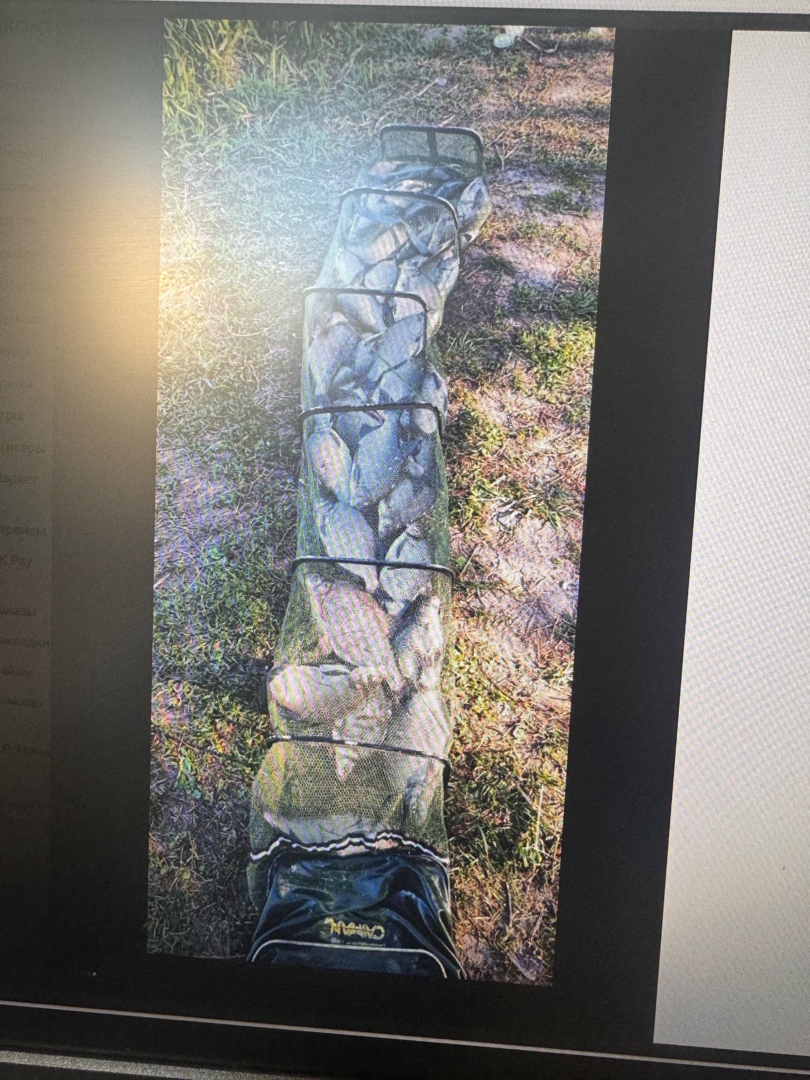 Пензенец поймал в Суре 80 кг рыбы