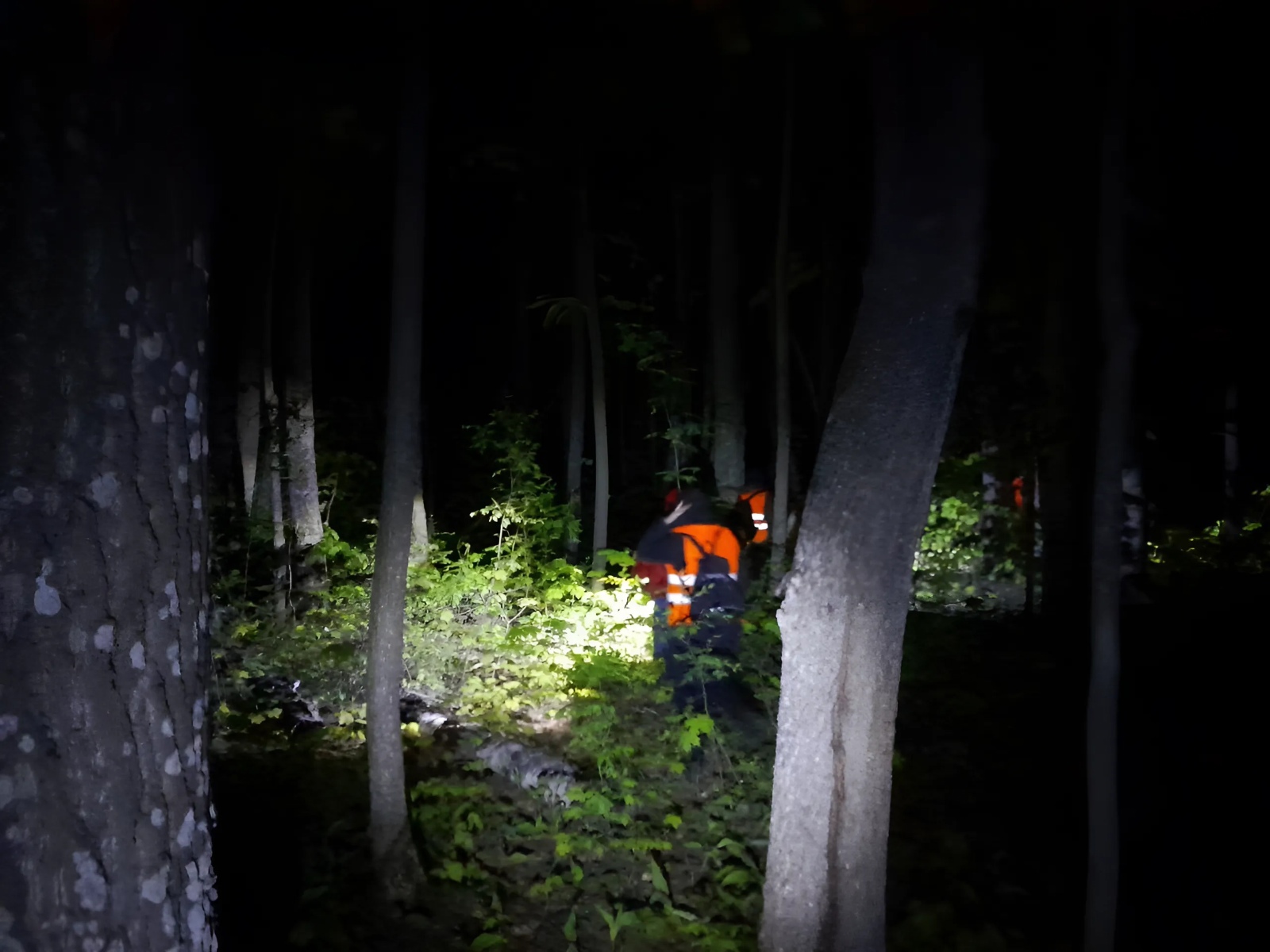 Пропавшую 12-летнюю девочку, которую искали пензенские волонтеры, нашли мертвой