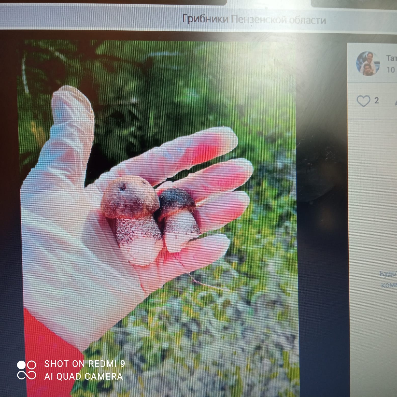 В Пензе замерзли подберезовики