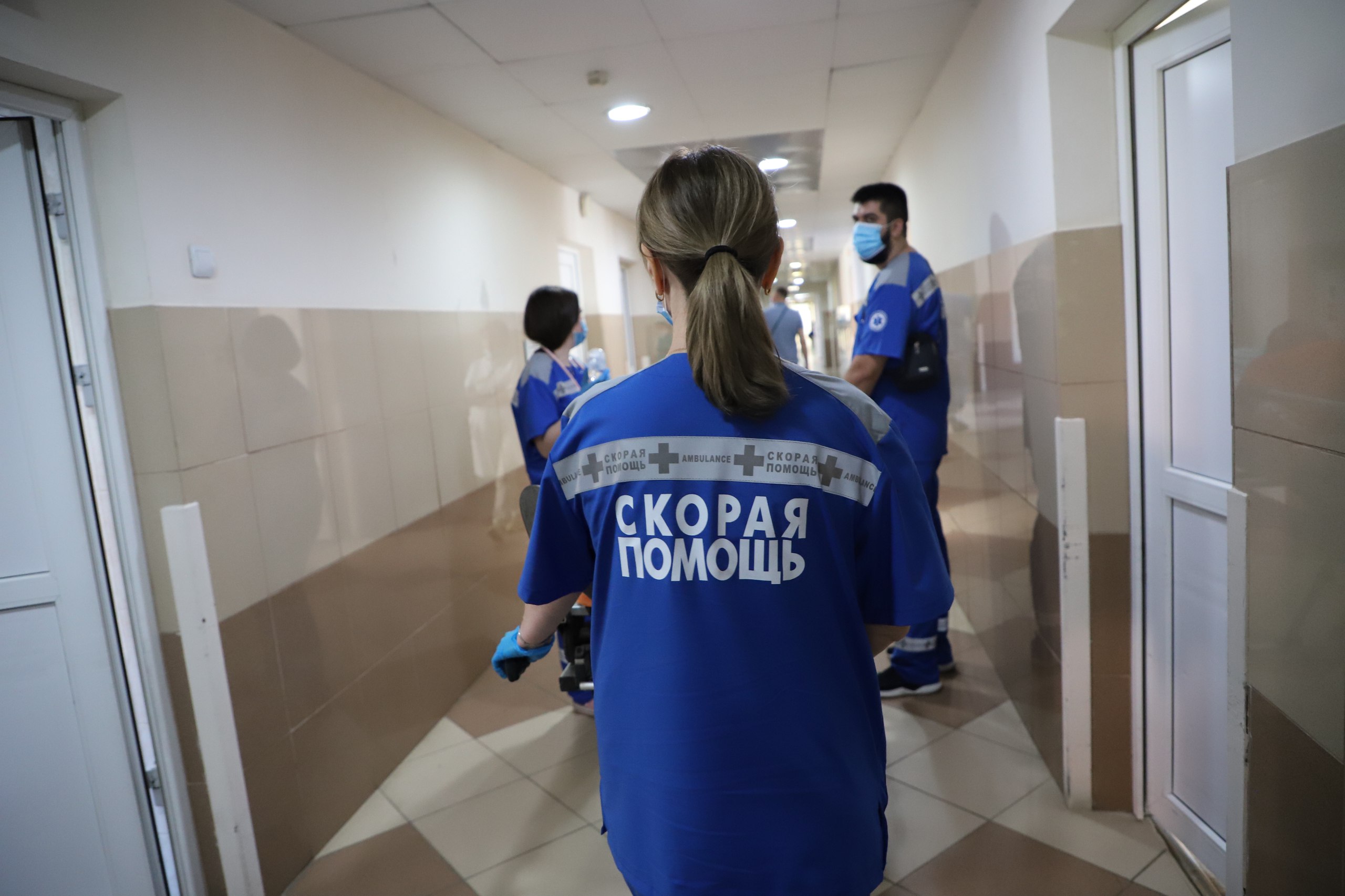 Пензенские медики рассказали, что делать в случае укуса гадюки