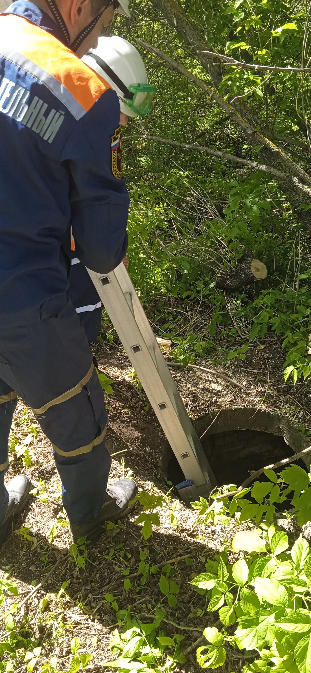 В Пензе спасли собаку, провалившуюся в колодец с водой