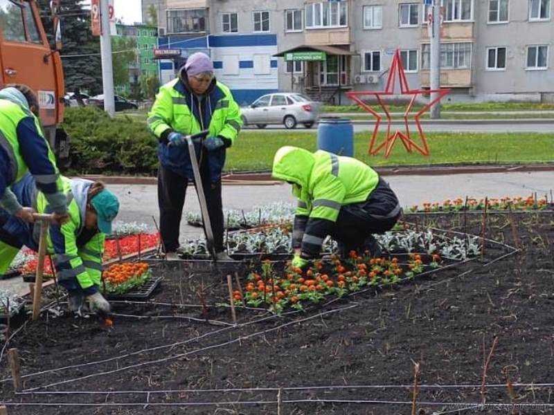 В Пензе начали оформлять цветники ко Дню Победы