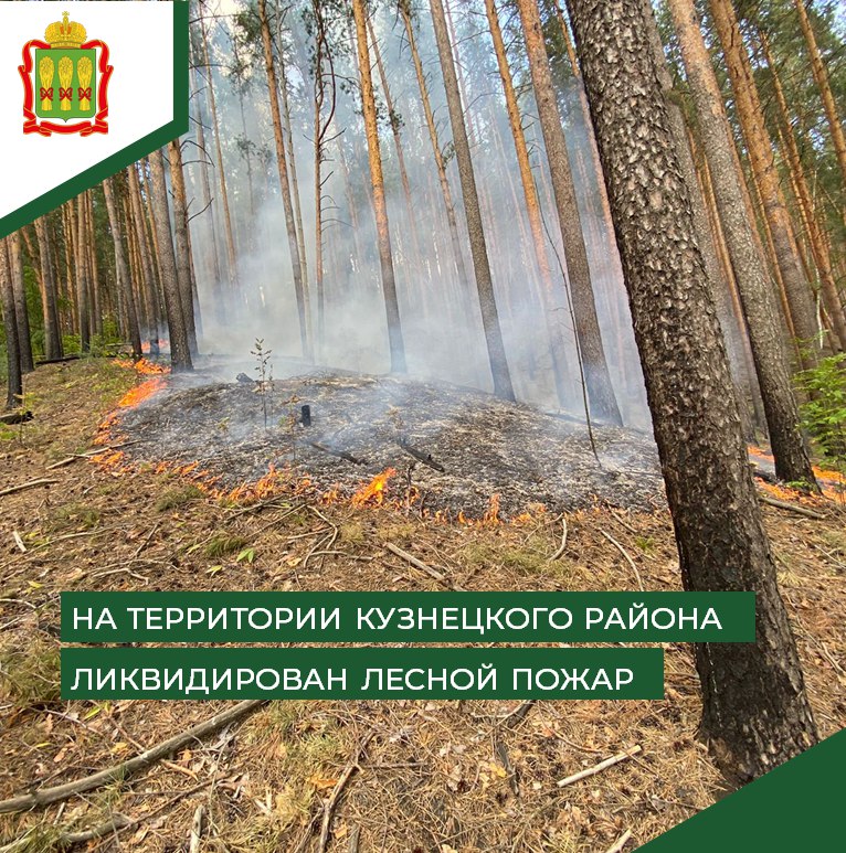В Кузнецком районе ликвидировали лесной пожар
