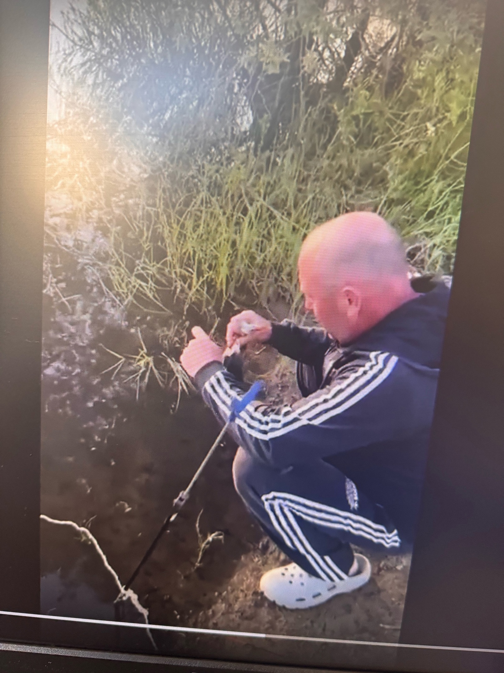 «Рыбы нет, одни птицы»: пензенцы поделились результатом рыбалки